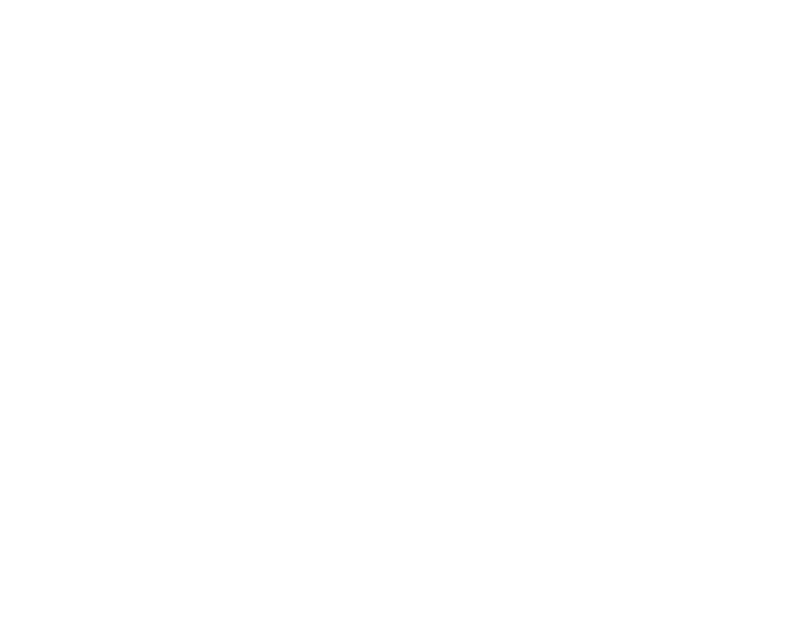 210 Financial_Blueprint Logo_W
